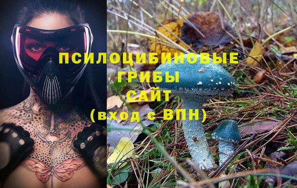 амф Абдулино
