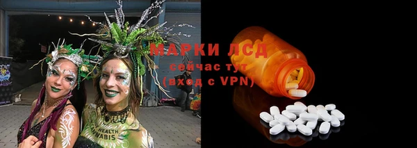 мяу мяу мука Абаза
