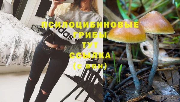 амф Абдулино