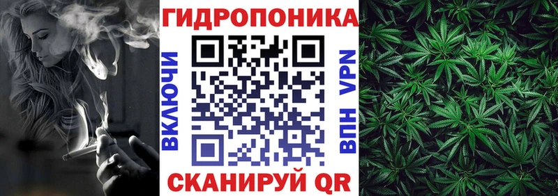 Бошки Шишки марихуана  Шиханы 